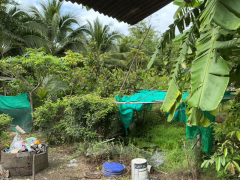 ขายที่ดินพร้อมบ้าน + สิ่งปลูกสร้าง เนื้อที่ ทั้งหมด 1ไร่ 2งาน 10.4ตรว.-202511151446251763192785485.png