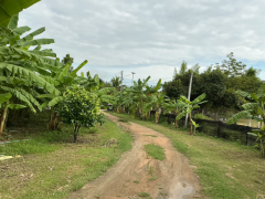 ขายที่ดินพร้อมบ้าน + สิ่งปลูกสร้าง เนื้อที่ ทั้งหมด 1ไร่ 2งาน 10.4ตรว.-202511151446261763192786683.png