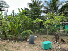 ขายที่ดินพร้อมบ้าน + สิ่งปลูกสร้าง เนื้อที่ ทั้งหมด 1ไร่ 2งาน 10.4ตรว.-202511151446271763192787847.png