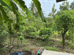 ขายที่ดินพร้อมบ้าน + สิ่งปลูกสร้าง เนื้อที่ ทั้งหมด 1ไร่ 2งาน 10.4ตรว.-202511151446301763192790106.png