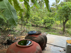 ขายที่ดินพร้อมบ้าน + สิ่งปลูกสร้าง เนื้อที่ ทั้งหมด 1ไร่ 2งาน 10.4ตรว.-202511151446301763192790675.png