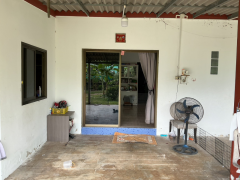 ขายที่ดินพร้อมบ้าน + สิ่งปลูกสร้าง เนื้อที่ ทั้งหมด 1ไร่ 2งาน 10.4ตรว.-202511151446311763192791213.png