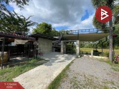 ขายที่ดินพร้อมสิ่งปลูกสร้าง เนื้อที่ 1 งาน 19.4 ตรฟ.วา ศิลา ขอนแก่น-202511151539011763195941121.jpg