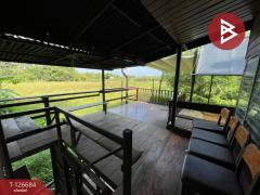 ขายที่ดินพร้อมสิ่งปลูกสร้าง เนื้อที่ 1 งาน 19.4 ตรฟ.วา ศิลา ขอนแก่น-202511151539041763195944887.jpg