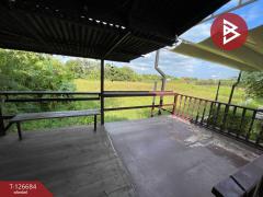 ขายที่ดินพร้อมสิ่งปลูกสร้าง เนื้อที่ 1 งาน 19.4 ตรฟ.วา ศิลา ขอนแก่น-202511151539051763195945418.jpg