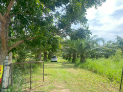 ขายที่ดินสวย อำเภอหัวหิน ทับใต้ จังหวัดประจวบฯ 24 ไร่ 1งาน 73 ตารางวา เหมาะทำโครงการบ้านจัดสรร/รีสอร์ทได้-202511151621381763198498156.png