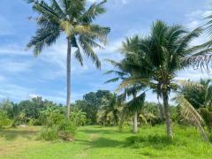 ขายที่ดินสวย อำเภอหัวหิน ทับใต้ จังหวัดประจวบฯ 24 ไร่ 1งาน 73 ตารางวา เหมาะทำโครงการบ้านจัดสรร/รีสอร์ทได้-202511151621401763198500234.jpg