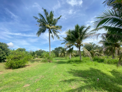 ขายที่ดินสวย อำเภอหัวหิน ทับใต้ จังหวัดประจวบฯ 24 ไร่ 1งาน 73 ตารางวา เหมาะทำโครงการบ้านจัดสรร/รีสอร์ทได้-202511151621431763198503968.png