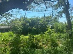 ขาย ที่ดิน ทับสะแก ติดถนนเพชรเกษม ต.นาหูกวาง อ.ทับสะแก จ.ประจวบคีรีขันธ์ ใกล้วัดห้วยลึก-202511151735301763202930419.jpg