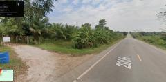 ขาย ที่ดิน หนองกุงศรี กาฬสินธุ์ ติดถนนทางหลวง ห้วยเม็ก - ท่าคันโท พร้อมสวนปาล์มและสวนอินทผลัม-202511151850481763207448751.jpg