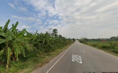 ขาย ที่ดิน หนองกุงศรี กาฬสินธุ์ ติดถนนทางหลวง ห้วยเม็ก - ท่าคันโท พร้อมสวนปาล์มและสวนอินทผลัม-202511151850491763207449237.jpg