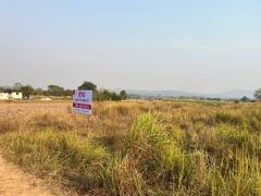 ขาย ที่ดิน ต.ชัยพฤกษ์ เมืองเลย จ.เลย ใกล้มหาวิทยาลัยราชภัฏเลย เพียง 1.6 กม.-202511151928241763209704151.jpg