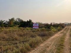 ขาย ที่ดิน ต.ชัยพฤกษ์ เมืองเลย จ.เลย ใกล้มหาวิทยาลัยราชภัฏเลย เพียง 1.6 กม.-202511151928241763209704666.jpg