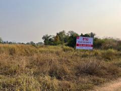 ขาย ที่ดิน ต.ชัยพฤกษ์ เมืองเลย จ.เลย ใกล้มหาวิทยาลัยราชภัฏเลย เพียง 1.6 กม.-202511151928251763209705173.jpg