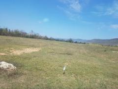 ที่ดินวิวสวยทำเลเหมาะอากาศดี  ขายที่ดินสวยติดภูเขา เทือกเขายาวเรียงแนว ดินดีสมบูรณ์ทรัพย์ในดิน ฟ้าใสวิวหลักล้าน ต.นาจาน อ.สีชมพู จ.ขอนแก่น 