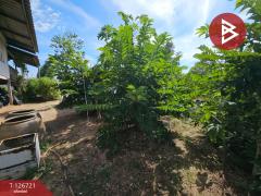 ขายที่ดินพร้อมสิ่งปลูกสร้าง เนื้อที่ 1 งาน 75.6 ตร.วา ศรีราชา ชลบุรี-202511161004551763262295900.jpg