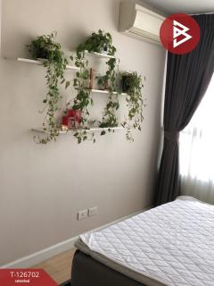 ขายคอนโด เมย์แฟร์ เพลส สุขุมวิท64 พระโขนง กรุงเทพมหานคร (Mayfair Place Sukhumvit64)-202511161027361763263656106.jpg