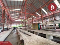 ขายที่ดินพร้อมสิ่งปลูกสร้าง เนื้อที่ 3 ไร่ 2 งาน 4 ตร.วา สันป่าตอง เชียงใหม่-202511161144291763268269897.jpg