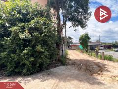 ขายที่ดินพร้อมสิ่งปลูกสร้าง เนื้อที่ 3 ไร่ 2 งาน 4 ตร.วา สันป่าตอง เชียงใหม่-202511161144301763268270443.jpg