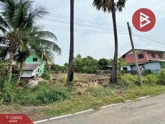 ขายที่ดิน เนื้อที่ 1 งาน 1 ตร.วา บางใหญ่ นนทบุรี ทำเลดี-202511161153521763268832730.jpg