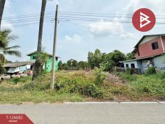 ขายที่ดิน เนื้อที่ 1 งาน 1 ตร.วา บางใหญ่ นนทบุรี ทำเลดี-202511161153531763268833270.jpg