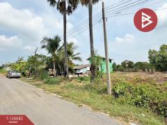 ขายที่ดิน เนื้อที่ 1 งาน 1 ตร.วา บางใหญ่ นนทบุรี ทำเลดี-202511161153531763268833809.jpg