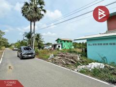 ขายที่ดิน เนื้อที่ 1 งาน 1 ตร.วา บางใหญ่ นนทบุรี ทำเลดี-202511161153541763268834368.jpg