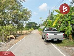 ขายที่ดิน เนื้อที่ 1 งาน 1 ตร.วา บางใหญ่ นนทบุรี ทำเลดี-202511161153561763268836312.jpg