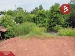 ขายที่ดิน เนื้อที่ 2 งาน 7.3 ตร.วา แหลมใหญ่ สมุทรสงคราม-202511161236011763271361938.jpg