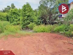 ขายที่ดิน เนื้อที่ 2 งาน 7.3 ตร.วา แหลมใหญ่ สมุทรสงคราม-202511161236021763271362492.jpg