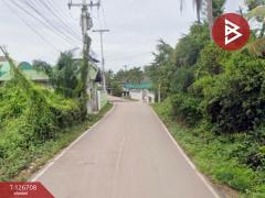 ขายที่ดิน เนื้อที่ 2 งาน 7.3 ตร.วา แหลมใหญ่ สมุทรสงคราม-202511161236031763271363043.jpg