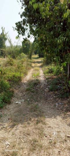 ขายที่ดินเปล่าในจ.ลำพูน ด้านหน้าติดถนนใหญ่ ติดแม่น้ำ พื้นที่สวย ทำเลดี อยู่ในเขตชุมชน ปลอดภัย ห่างจากสถานที่ราชการไม่เกิน 700 เมตร-202511161414551763277295540.jpg