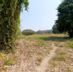 ขายที่ดินเปล่าในจ.ลำพูน ด้านหน้าติดถนนใหญ่ ติดแม่น้ำ พื้นที่สวย ทำเลดี อยู่ในเขตชุมชน ปลอดภัย ห่างจากสถานที่ราชการไม่เกิน 700 เมตร-202511161414581763277298638.jpg