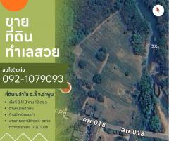 ขายที่ดินเปล่าในจ.ลำพูน ด้านหน้าติดถนนใหญ่ ติดแม่น้ำ พื้นที่สวย ทำเลดี อยู่ในเขตชุมชน ปลอดภัย ห่างจากสถานที่ราชการไม่เกิน 700 เมตร