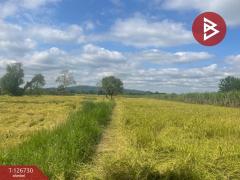 ขายที่ดิน เนื้อที่ 26 ไร่ 1 งาน 49 ตร.วา ประโคนชัย บุรีรัมย์