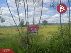 ขายที่ดิน เนื้อที่ 26 ไร่ 1 งาน 49 ตร.วา ประโคนชัย บุรีรัมย์-202511161433141763278394161.jpg