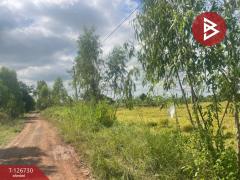 ขายที่ดิน เนื้อที่ 26 ไร่ 1 งาน 49 ตร.วา ประโคนชัย บุรีรัมย์-202511161433151763278395232.jpg