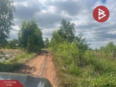 ขายที่ดิน เนื้อที่ 26 ไร่ 1 งาน 49 ตร.วา ประโคนชัย บุรีรัมย์-202511161433171763278397049.jpg