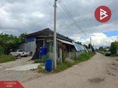  ขายที่ดินพร้อมสิ่งปลูกสร้าง เนื้อที่ 1 งาน 77 ตร.วา พานทอง ชลบุรี-202511161459011763279941638.jpg