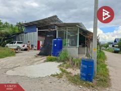  ขายที่ดินพร้อมสิ่งปลูกสร้าง เนื้อที่ 1 งาน 77 ตร.วา พานทอง ชลบุรี-202511161459041763279944858.jpg