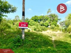 ขายที่ดิน เนื้อที่ 2 ไร่ 9 ตารางวา กระบี่น้อย เมืองกระบี่ ทางเข้าตรงข้ามบิ๊กซี