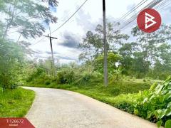 ขายที่ดิน เนื้อที่ 2 ไร่ 9 ตารางวา กระบี่น้อย เมืองกระบี่ ทางเข้าตรงข้ามบิ๊กซี-202511161607211763284041679.jpg