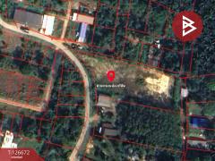 ขายที่ดิน เนื้อที่ 2 ไร่ 9 ตารางวา กระบี่น้อย เมืองกระบี่ ทางเข้าตรงข้ามบิ๊กซี-202511161607221763284042216.jpg