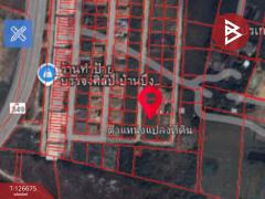 ขายที่ดิน เนื้อที่ 81 ตร.วา บ้านบึง ชลบุรี-202511161634281763285668549.jpg