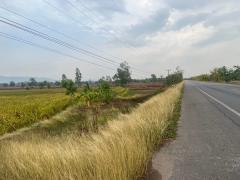 ขาย ที่ดินนครไทย ติดถนนทางหลวงหมายเลข 2013 ต.หนองกะท้าว อ.นครไทย จ.พิษณุโลก ราคาต่อรองได้ ใกล้แหล่งชุมชน-202511170000541763312454611.jpg