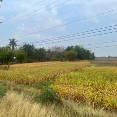 ขาย ที่ดินนครไทย ติดถนนทางหลวงหมายเลข 2013 ต.หนองกะท้าว อ.นครไทย จ.พิษณุโลก ราคาต่อรองได้ ใกล้แหล่งชุมชน-202511170000551763312455624.jpg