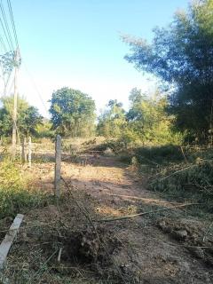 ขาย ที่ดิน บ้านกลาง สันป่าตอง เชียงใหม่ ใกล้วัดพระเจ้าทองทิพย์ เพียงแค่ 300 เมตร ราคาต่อรองได้-202511170035051763314505944.jpg