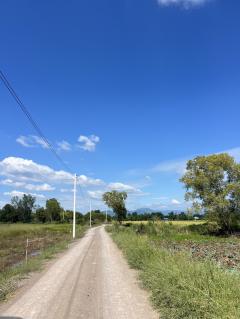 ที่ดินเงินสด ทำเลดี  200 ตรว.   4.8 แสน  ต.อาษา อ.บ้านนา จ.นครนายก-202511170732081763339528608.jpg