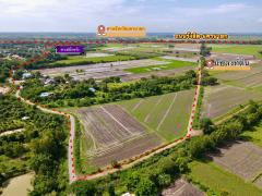 ที่ดินเงินสด ทำเลดี  200 ตรว.   4.8 แสน  ต.อาษา อ.บ้านนา จ.นครนายก-202511170732371763339557056.jpg