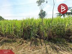 ขายด่วนที่ดิน เนื้อที่ 7 ไร่ 61.1 ตร.วา จอมบึง ราชบุรี